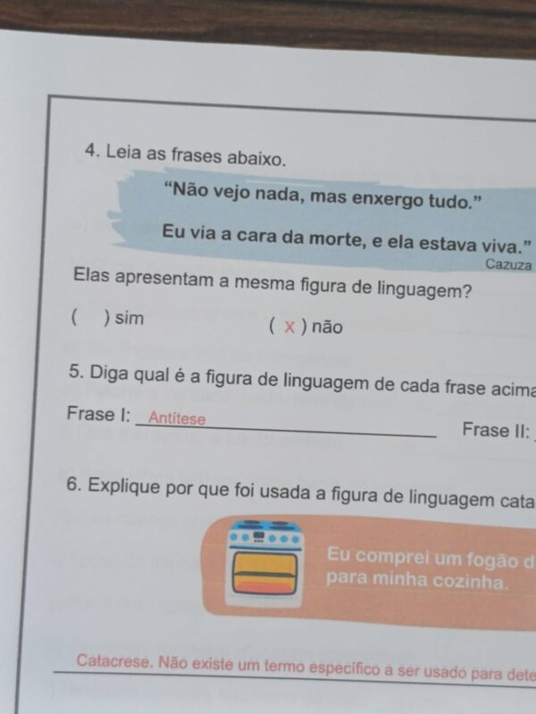 Figuras de Linguagem - Imagem 6